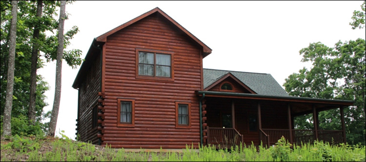 Professional Log Home Borate Application  Almond,  North Carolina